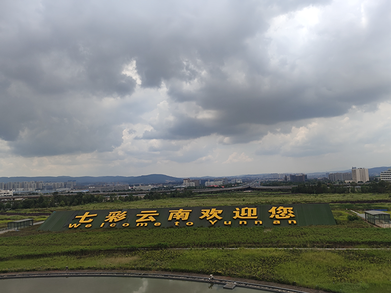 案例
